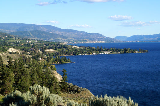 Naramata Bench Wine Tour